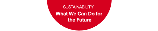 Sustainability What We Can Do for the Future